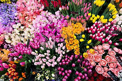 2D像素冒险游戏《Scott Pilgrim EX》新预告 