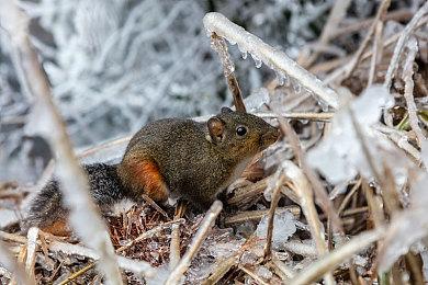 《死亡岛2》部分武器装备高清图 打丧尸超带劲！