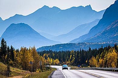 《真知之岛》即将关闭服务器 游戏永久改为离线模式